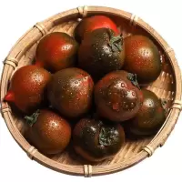 5斤装 黑珍珠番茄 黑元帅西红柿紫宝石新鲜水果铁皮柿子蔬菜
