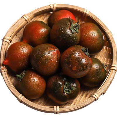5斤装 盘锦黑珍珠番茄 黑元帅西红柿紫宝石新鲜水果铁皮柿子蔬菜