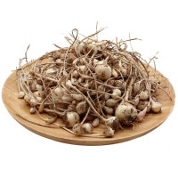 1kg 东北小根蒜 野葱大脑瓜新鲜大脑蹦小山蒜山野蒜