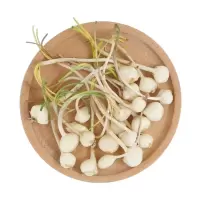 500g 东北小根蒜 野葱大脑瓜新鲜大脑蹦小山蒜山野蒜