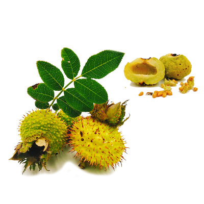 2.5kg 特产新鲜刺梨 鲜果泡茶泡酒