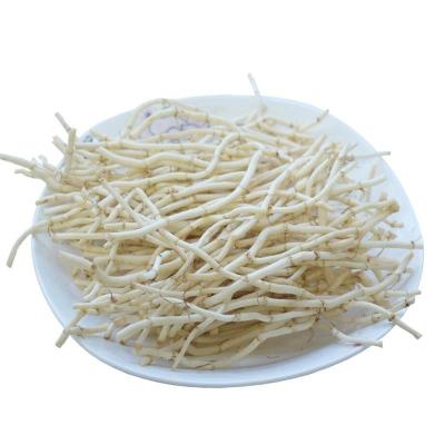 2000g 新鲜鱼腥草 嫩根折耳根 节节根侧耳根 新鲜蔬菜