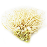 苤菜根1.5kg 新鲜蔬菜撇菜根用韭菜炖汤小炒腌制