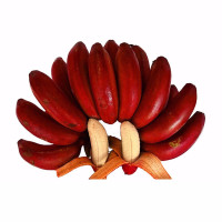 5斤 福建土楼特产新鲜美人蕉 红皮香蕉