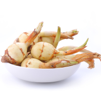 新鲜白茨菰5斤 白马蹄白茨菇慈姑 慈菇 慈菰