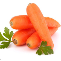 2.5kg 春茬新鲜胡萝卜水果红萝卜