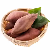 2.5kg 澄迈桥头地瓜 新鲜板栗红薯