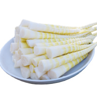 1kg 小竹笋新鲜保鲜野春笋 火锅笋子笋片