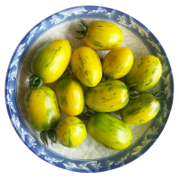 东北黄皮球柿子新鲜蔬菜水果花皮球柿子黄柿子小柿子小番茄 2kg