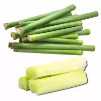 2.5kg 甜杆 小甘蔗新鲜甜芦粟 甜高粱杆芦稷甜梭甘蔗