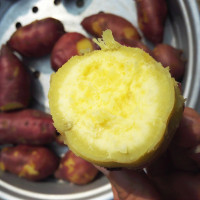 5kg(净重9斤) 海南澄迈沙地桥头地瓜 富硒红薯新鲜农家板栗薯