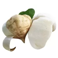4.5kg 凉薯 新鲜土瓜 沙葛白地瓜蔬菜水果