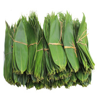 新鲜粽叶(送粽绳) 100片 新鲜粽叶 端午节粽子叶野箬叶廖叶竹叶真空保鲜包装