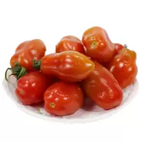 2.5kg(5斤) 丹东特产409小柿子 铁柿子草莓圣女果小番茄西红柿草莓柿子油柿子