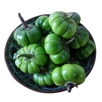 1kg 苦子果  苦茄 洋苦子 小茄子蔬菜生鲜