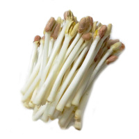 1500g 新鲜花生芽 脆嫩自种花生苗 3斤 蔬菜小炒凉拌涮火锅食材