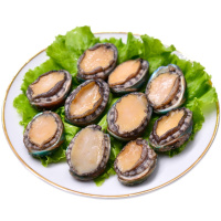 500g(15-18个) 冰鲜鲍鱼 鲜活冻大鲍鱼 海鲜水产贝类