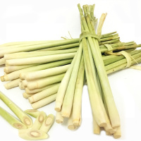 1000g 新鲜香茅草 柠檬草 泰式料理冬阴功汤材料蔬菜调味