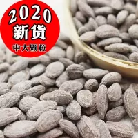 新货吊瓜子非瓜蒌子批发250gx2袋炒货零食特产中大籽奶油椒盐原味