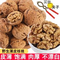 纸皮核桃 薄皮新货一级核桃 坚果零食批发