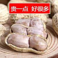 花生蒜味花生水煮白晒五香盐水咸干花生