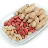 现炒原味熟花生原味花生铁锅现炒休闲零食生花生花生米