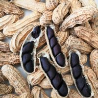 新黑花生 富硒黑花生 农家自产晒干带壳紫花生五谷杂粮