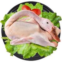 鸭新鲜鸭子肉整只水养鸭老鸭麻鸭肉新鲜食材 麻鸭5斤