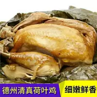 荷叶鸡童子鸡叫花鸡手撕鸡熟食特产美食
