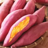 红薯新鲜蜜薯地瓜沙地黄心番薯红心板栗薯批发5/10斤