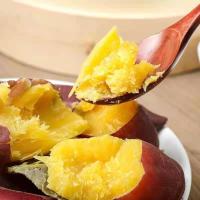 [坏果包赔]非板栗红薯新鲜农家现挖黄心地瓜甜蜜小番薯山芋糖香薯