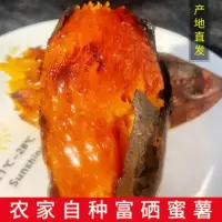 沙地红薯正宗蜜薯新鲜红心红薯5/10斤真烟薯25号烤专用地瓜