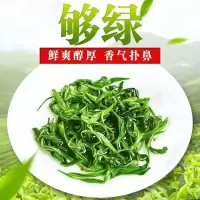 赛卡伊 绿茶 新茶叶高山云雾充足炒青绿茶
