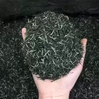 赛卡伊 毛尖绿茶春茶 新茶上市雨后 捏尖嫩芽型散装茶叶