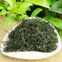 赛卡伊 毛尖新茶高山云雾绿茶自产自销毛尖茶叶散装浓香型500g