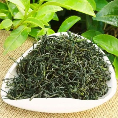 赛卡伊 毛尖新茶高山云雾绿茶自产自销毛尖茶叶散装浓香型500g
