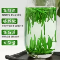 赛卡伊 雀舌绿茶 新茶明前 贵州湄潭翠芽高山云雾毛尖嫩芽茶叶批发