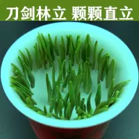 赛卡伊 雀舌绿茶 新茶贵州茶叶湄潭翠芽茶片明前 清香嫩芽散装550g