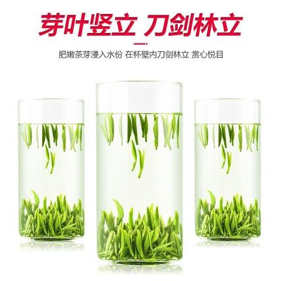 赛卡伊 雀舌茶叶绿茶 新茶嫩芽 浓香型湄潭翠芽绿茶叶散装批发