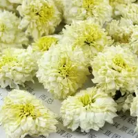 赛卡伊 贡菊 下火白菊花 白菊花茶组合