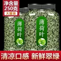 赛卡伊 薄荷叶泡水新鲜薄荷茶薄荷叶干薄荷茶叶泡茶清新口气醒脑可搭胎菊