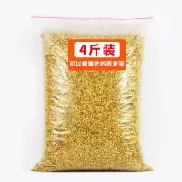 赛卡伊 黄苦荞茶正宗批发饭店专用麦香型浓香荞麦茶通排茶茶刮油黑苦荞茶