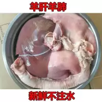 赛卡伊 山羊毛肚生毛肚新鲜毛肚羊肠肥肠羊心肝肺羊下水全套羊杂整套 山羊肝肺2斤 韵达中通