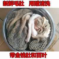 赛卡伊 新鲜羊杂生羊肚羊肝羊肺羊肠羊下水 整套 4斤羊肚送卤料送羊油