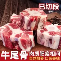 赛卡伊 牛尾巴新鲜现杀牛尾骨牛尾 农家黄牛牛尾骨批发尾椎骨煲汤 1斤装