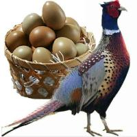 赛卡伊 30枚家养新鲜土鸡蛋散养鸡蛋儿童营养鸡蛋七彩鸡蛋