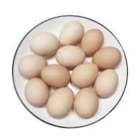 赛卡伊 40枚土鸡蛋农家散养新鲜土鸡蛋鲜鸡蛋草鸡蛋