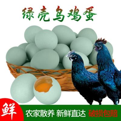 赛卡伊 农家绿壳土鸡蛋新鲜乌鸡蛋笨鸡蛋多规格散养生态破包赔