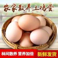 赛卡伊 土鸡蛋农家正宗土鸡蛋散养农村柴鸡蛋新鲜批发价现捡笨鸡蛋无菌蛋