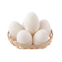 赛卡伊 山东正宗散养新鲜鹅蛋去胎毒土鹅蛋农家鹅蛋药引鹅蛋大鹅蛋 6个装 105-120克